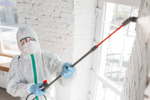 Best Water Damage & Mold Remediation  in Eagan, MN