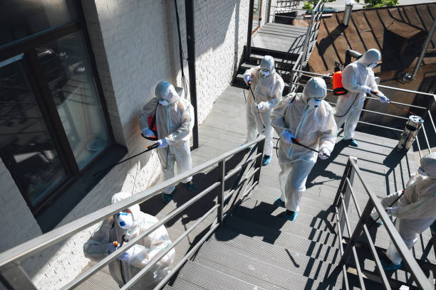 Trusted Eagan, MN Mold Removal Experts
