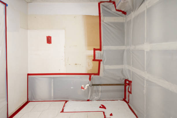 Best Asbestos and Lead Testing During Mold Inspection  in Eagan, MN