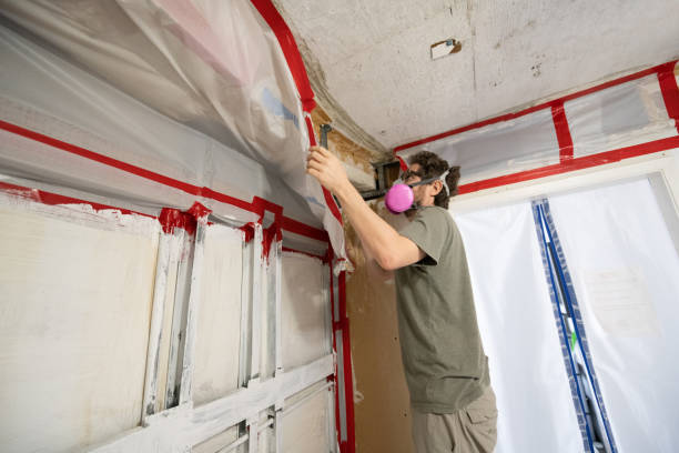 Best Post-Construction Mold Inspection  in Eagan, MN