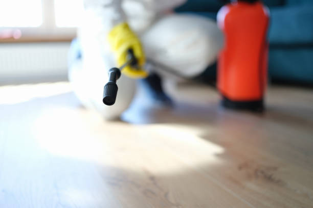  Eagan, MN Mold Removal Pros